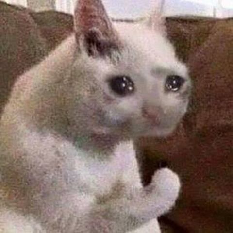 Leaked ameairi header onlyfans leaked