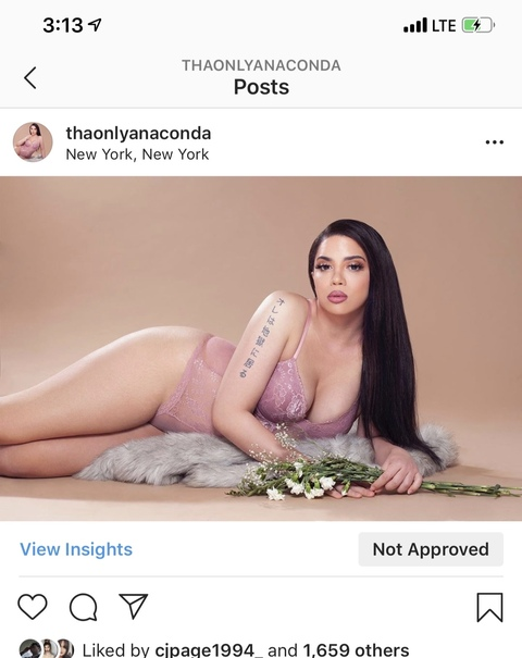 Leaked andreaanaconda header onlyfans leaked