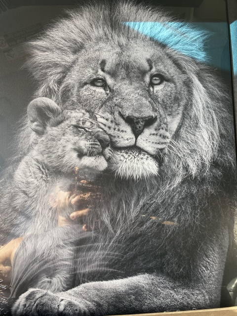 Leaked artemis_iron header onlyfans leaked