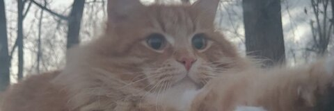 Leaked aubreyjo316 header onlyfans leaked