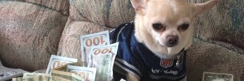 Leaked ayyjlmao header onlyfans leaked