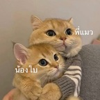 Leaked babycatcouple onlyfans leaked