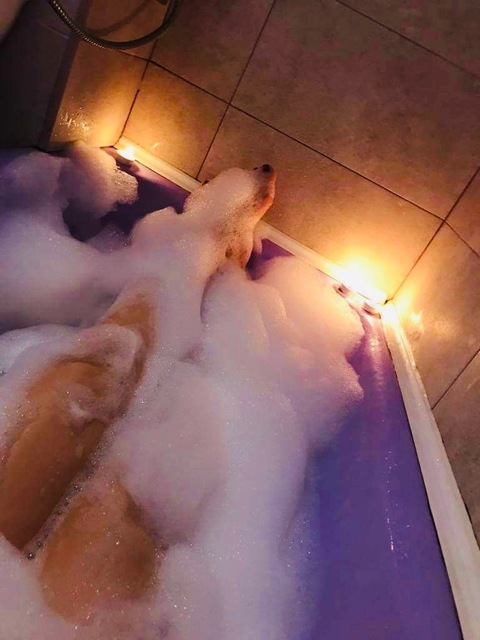 Leaked babygirlm03 header onlyfans leaked