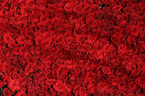 Leaked baileyrayne header onlyfans leaked