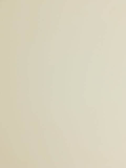 Leaked bhadghirlg header onlyfans leaked