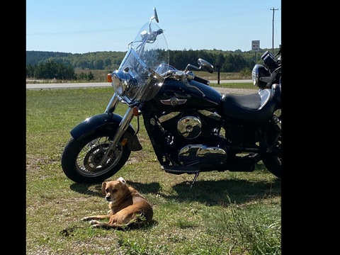 Leaked bikerandhisollady header onlyfans leaked
