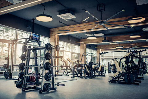 Leaked bodybuilding.dreams header onlyfans leaked