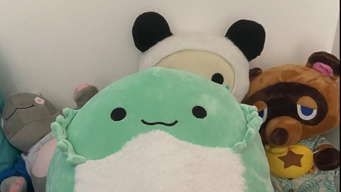 Leaked boredqueerpandi header onlyfans leaked