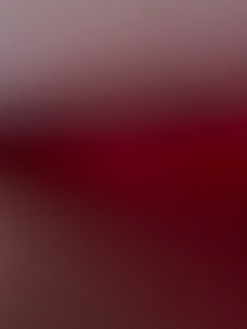 Leaked brandnewthot header onlyfans leaked