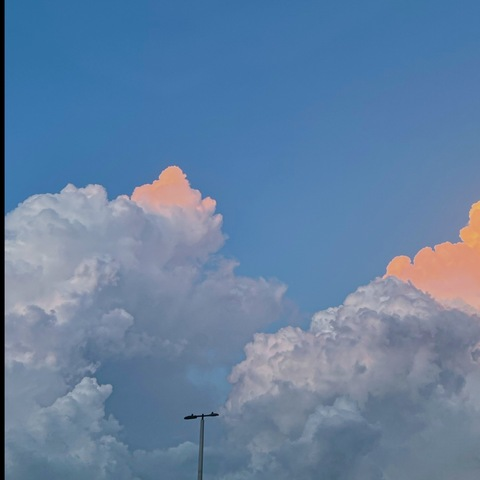 Leaked briluvsyouu header onlyfans leaked