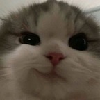 Leaked butterfry onlyfans leaked
