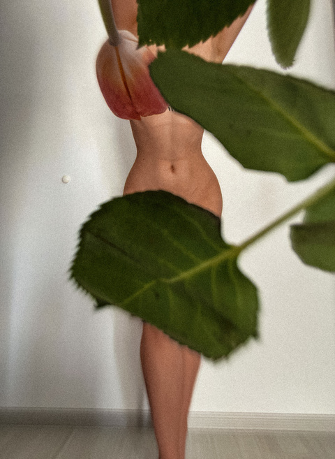 Leaked callmemd777 header onlyfans leaked