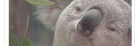 Leaked camilapereyra header onlyfans leaked