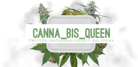 Leaked canna_bis_queen header onlyfans leaked