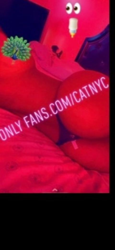 Leaked catnyc header onlyfans leaked