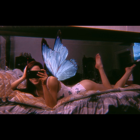 Leaked cats-and-internets header onlyfans leaked