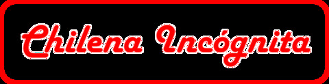Leaked chilenaincognita header onlyfans leaked