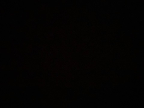 Leaked dadwithadadbod header onlyfans leaked