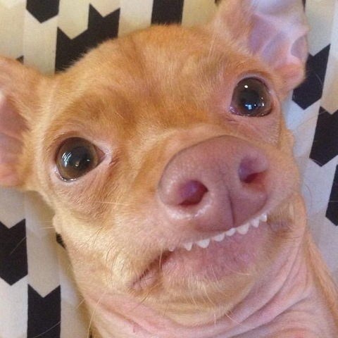 Leaked danniiixo header onlyfans leaked