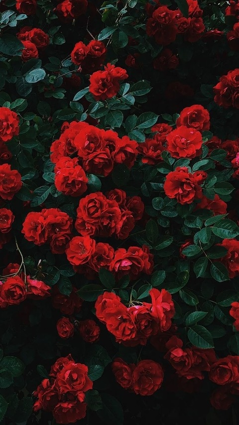 Leaked devilsneedlove header onlyfans leaked
