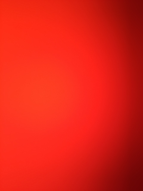 Leaked didii header onlyfans leaked