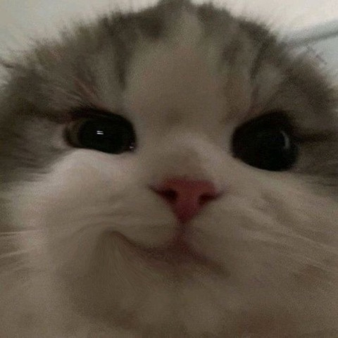 Leaked digitalkuromi header onlyfans leaked