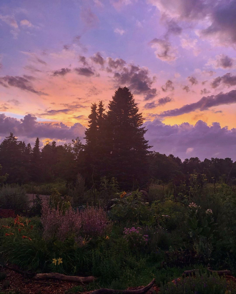 Leaked elixiroflife header onlyfans leaked