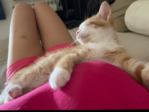 Leaked emanuelaluxx header onlyfans leaked