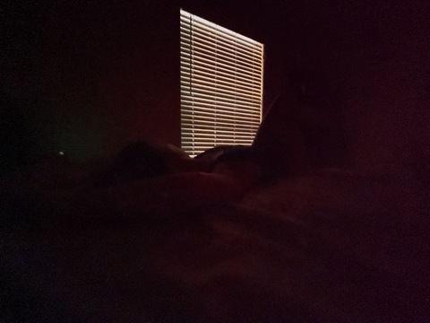 Leaked emilyfelt header onlyfans leaked