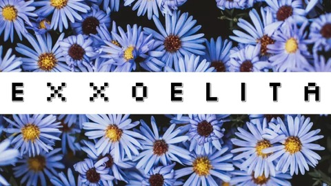 Leaked exxoelita header onlyfans leaked