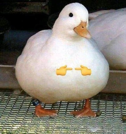 Leaked gabsp1 header onlyfans leaked
