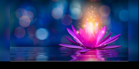 Leaked gardenoflotus header onlyfans leaked