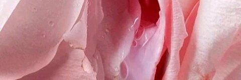 Leaked goddessalexx header onlyfans leaked