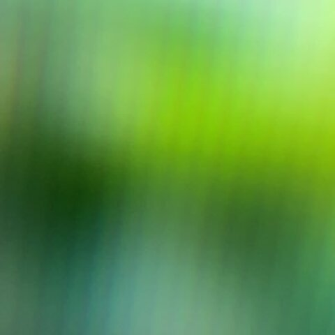 Leaked gyokurodream header onlyfans leaked