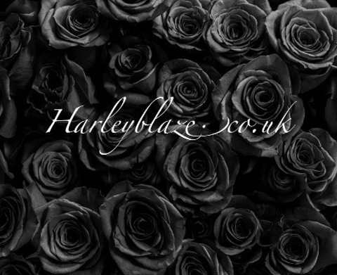 Leaked harleyblaze0 header onlyfans leaked
