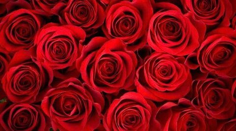 Leaked honeyrosess header onlyfans leaked