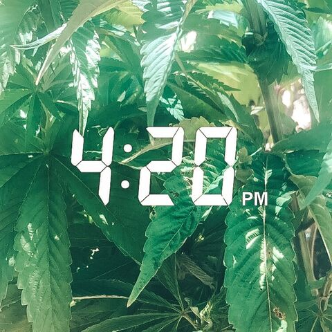 Leaked its420honeyy header onlyfans leaked