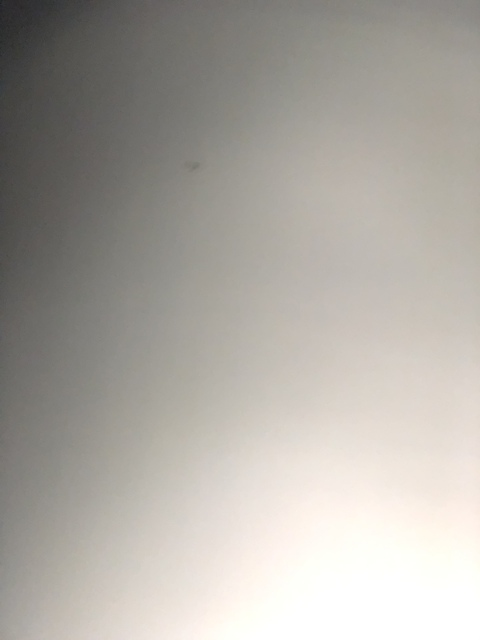 Leaked itzemo header onlyfans leaked