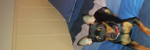 Leaked jaster header onlyfans leaked