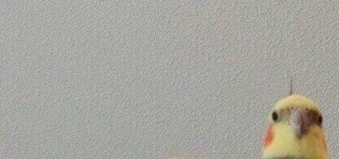 Leaked juliray header onlyfans leaked