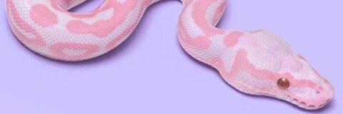 Leaked julzhbu header onlyfans leaked