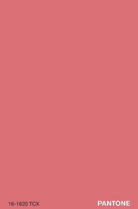Leaked kaethebratdoll header onlyfans leaked