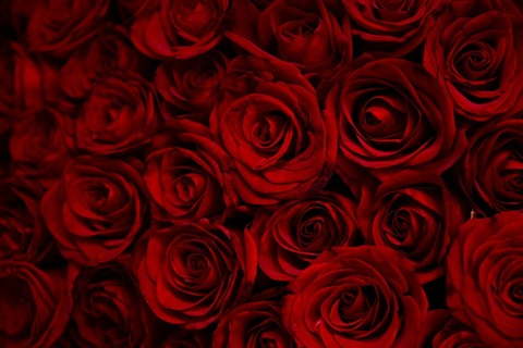 Leaked katana_rose header onlyfans leaked