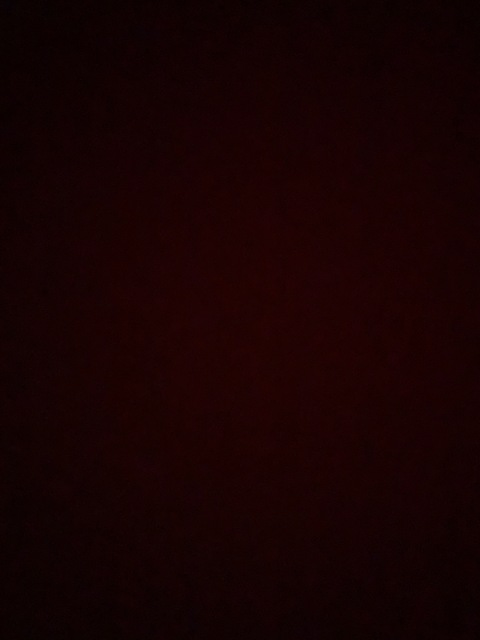 Leaked kendall-aus header onlyfans leaked
