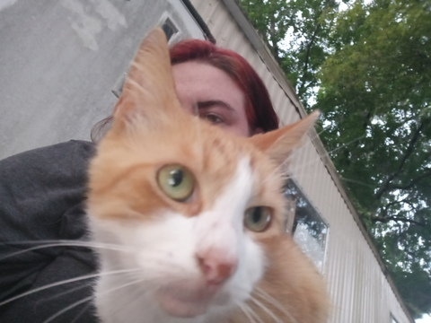 Leaked kittiekitten header onlyfans leaked