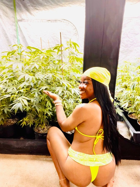 Leaked kittykruel header onlyfans leaked