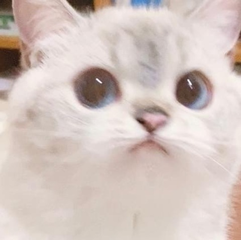 Leaked kwanmaiyuu header onlyfans leaked