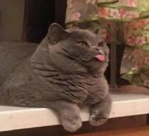Leaked lattesweets header onlyfans leaked