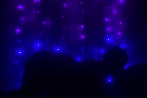 Leaked lilchilena header onlyfans leaked