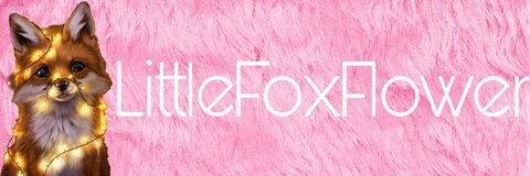 Leaked littlefoxflxwer header onlyfans leaked